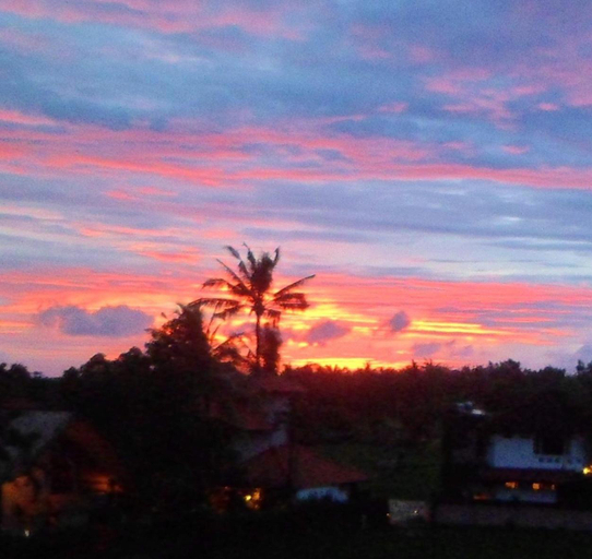Others 4, Nuriani Restaurant and Rooms, Gianyar