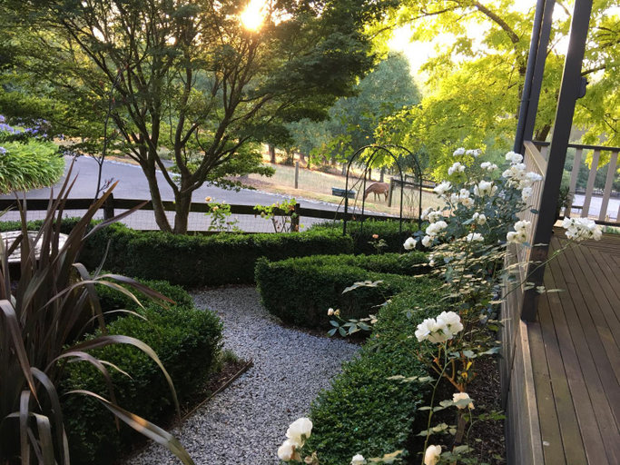 Scenery 16