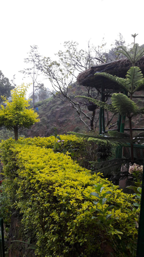 Others 4, Green House, Ambagamuwa