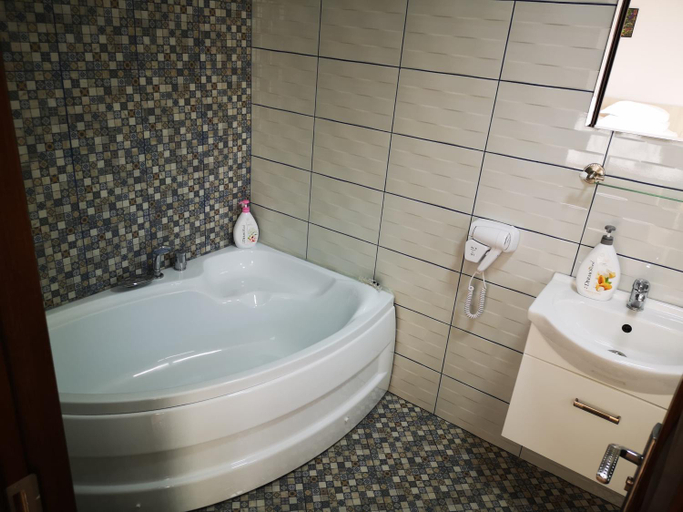 Bathroom 3, Pensiunea Indra, Gura Humorului