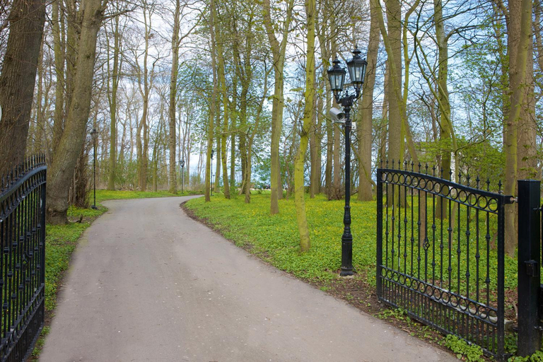 Garden, Waldpavillon, Ostholstein