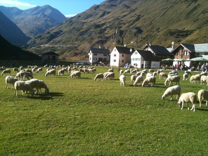 Others 5, Zwargji, Verbano-Cusio-Ossola