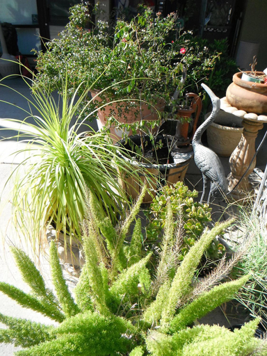 Others 5, Colusa Riverside Inn, Colusa