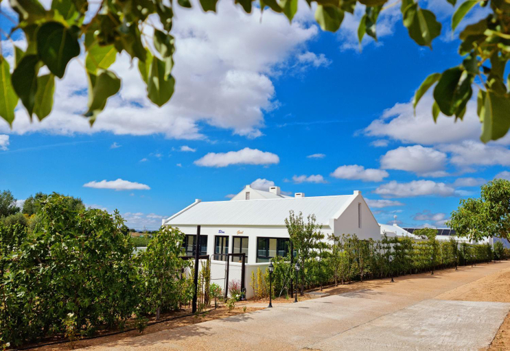 Others 4, Klawerjas, Cape Winelands