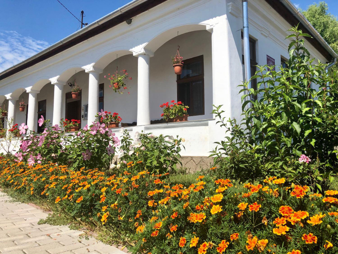 Others 5, Heni Vendeghaza, Kazincbarcikai