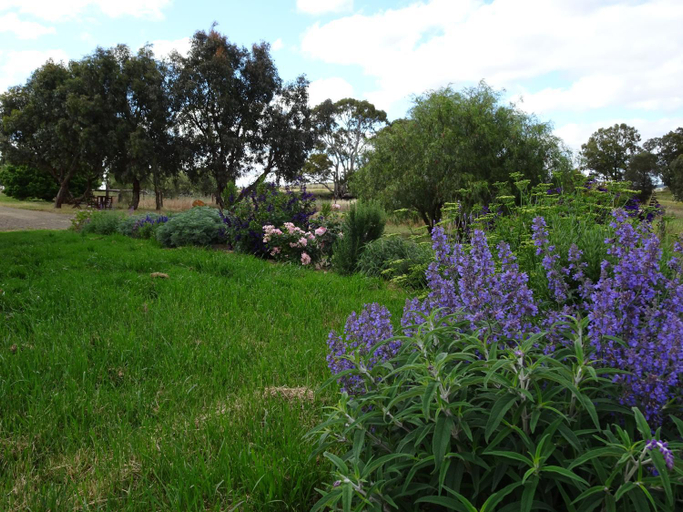 Others 2, Meander Retreat - King Suite with rural views, Barossa