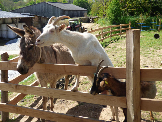 Others 2, le Vallon des 5 Roses, Mayenne