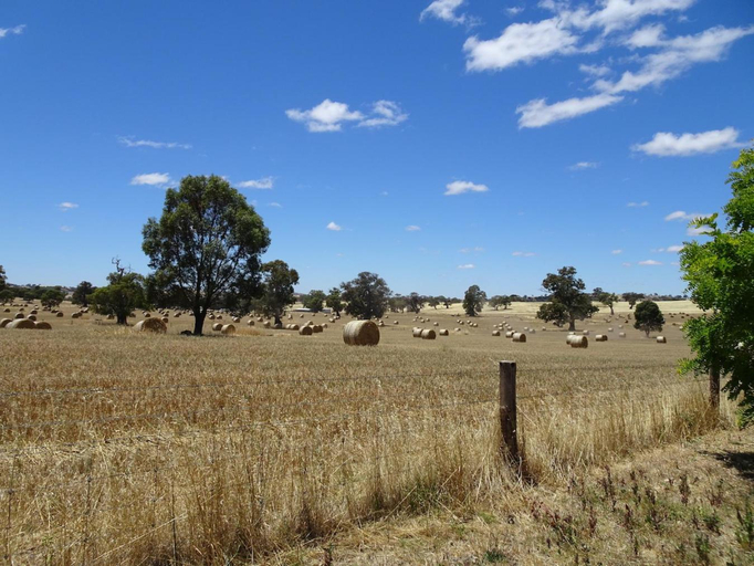 Others 4, Meander Retreat - King Suite with rural views, Barossa
