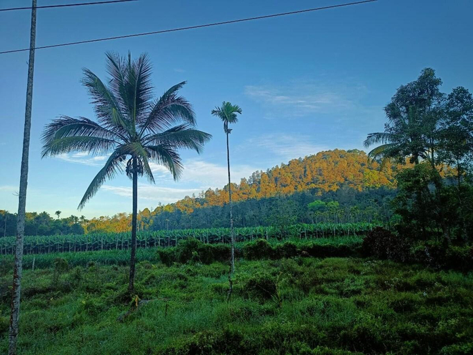 Others 4, Nostalgia Homestay, Wayanad