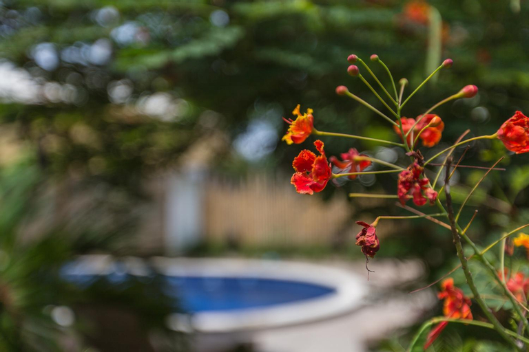 Sport & Beauty 5, Kelapa Cottage, Karangasem