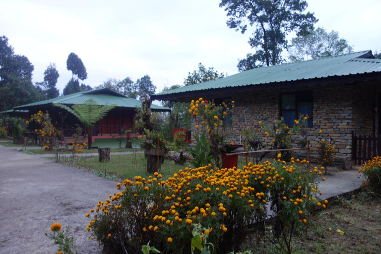 Others 5, The Barfung Retreat, South Sikkim