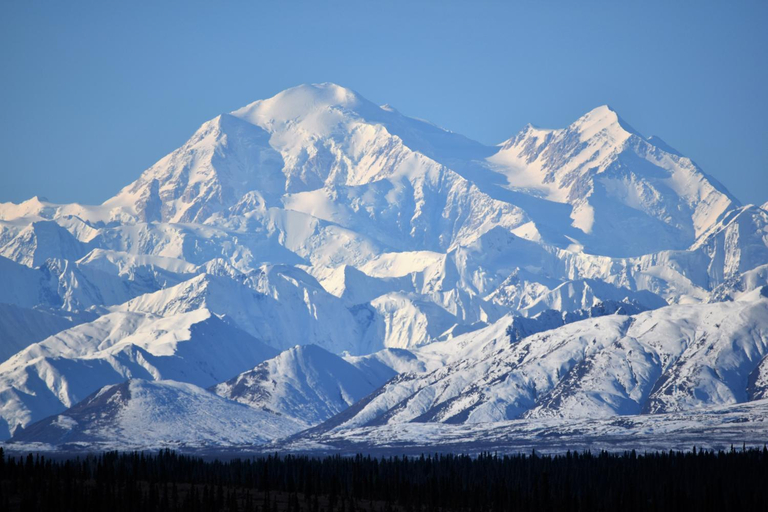Others 2, Backwoods Lodge, Denali
