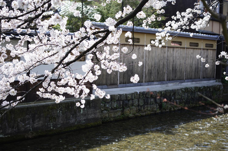 Others 5, Jeugiya, Kyoto