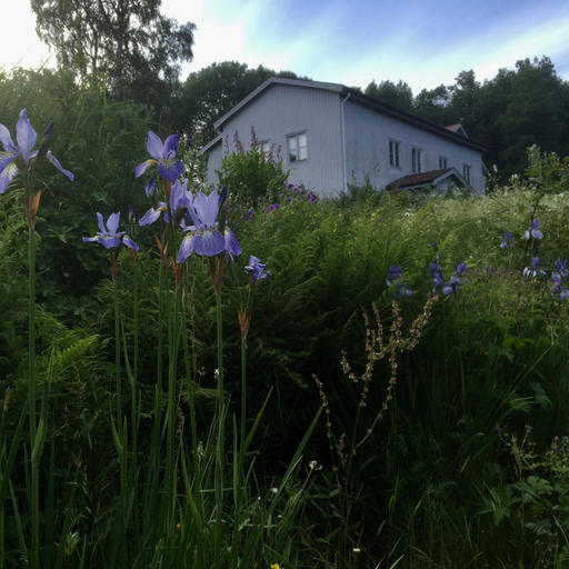 Others 2, Sagverket Hoga Kusten, Härnösand