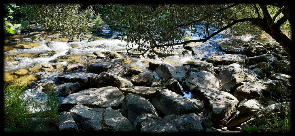 Surrounding environment 3, Chalet Beau Rivage, Haut-Rhin