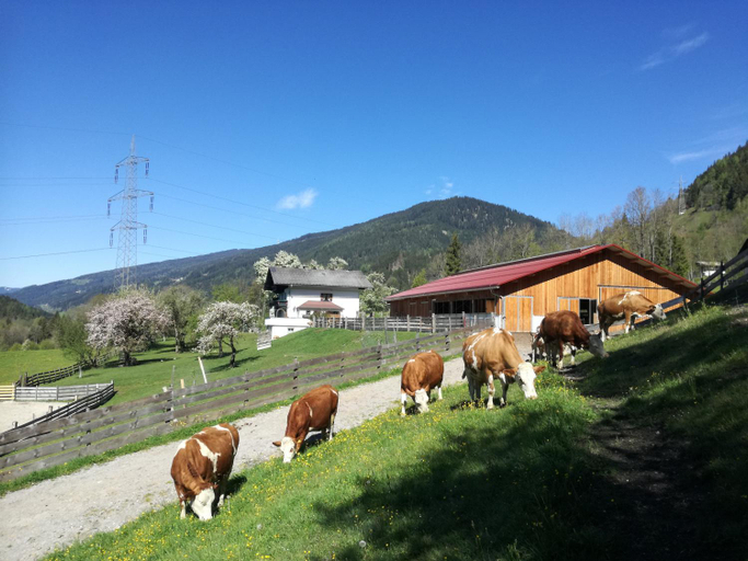 Surrounding environment, Saumerhof, Liezen