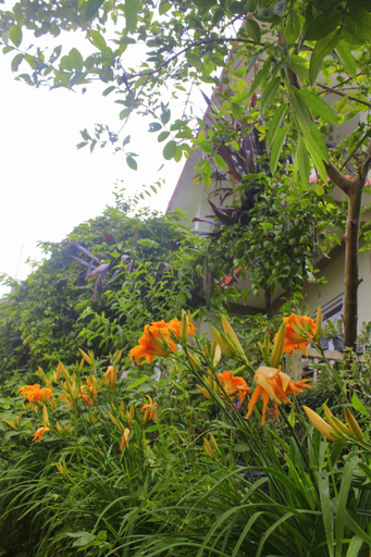 Others 4, Mansarover Home Stay, Darjiling