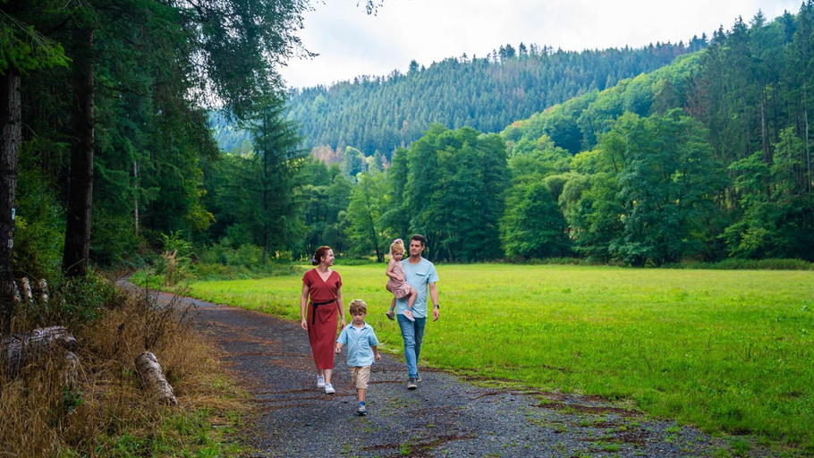 Others 4, EuroParcs Kohnenhof, Clervaux