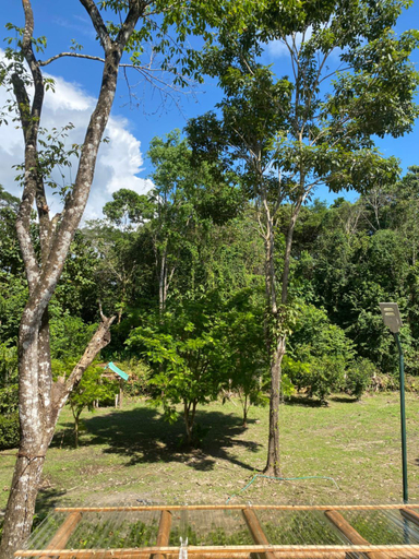 Others 3, Jazlyn Lodge & Tours, Puntarenas