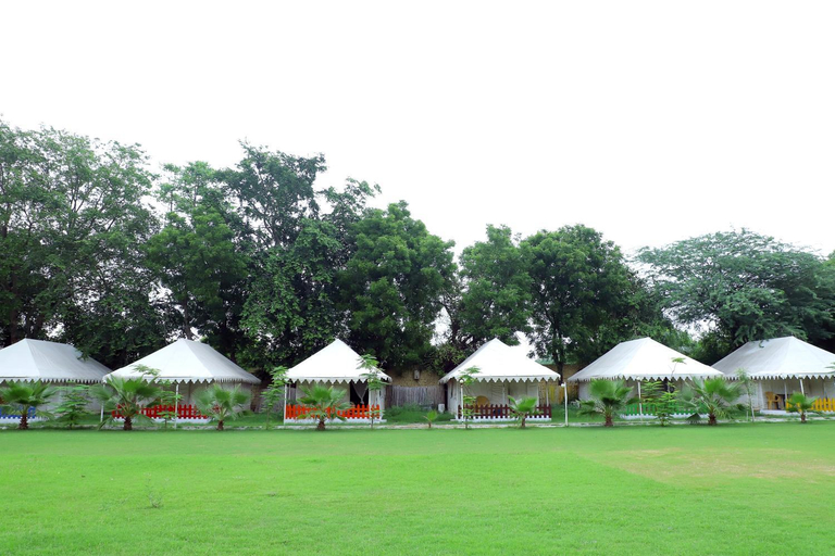 Others 3, Agra Camps and Resort, Agra