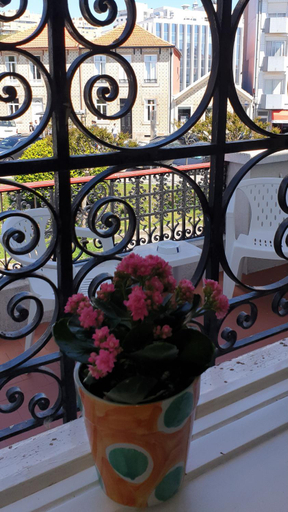Food & Drinks, Suites Foz O Porto, Porto