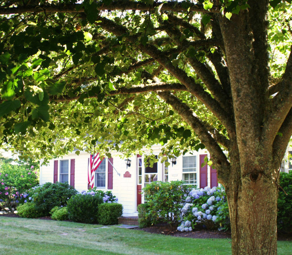 Others 5, The Tern Inn Bed & Breakfast and Cottages, Barnstable