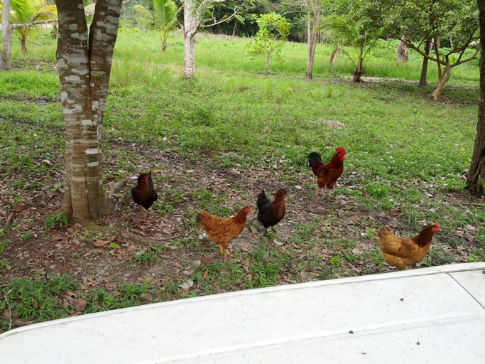Others 3, Nature Resort