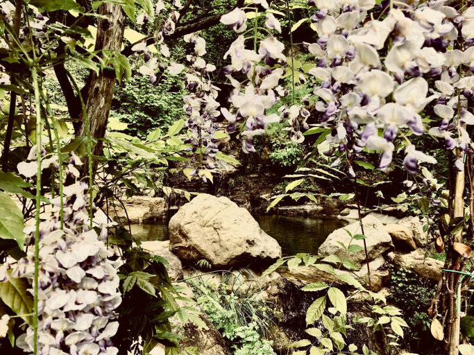 Others 2, Pippo's Little Resort, Arezzo