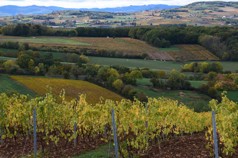 Others 5, Casa Vigna, Rhône