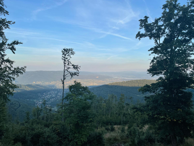 Others 3, Pokoje pod Szyndzielnia, Bielsko-Biała