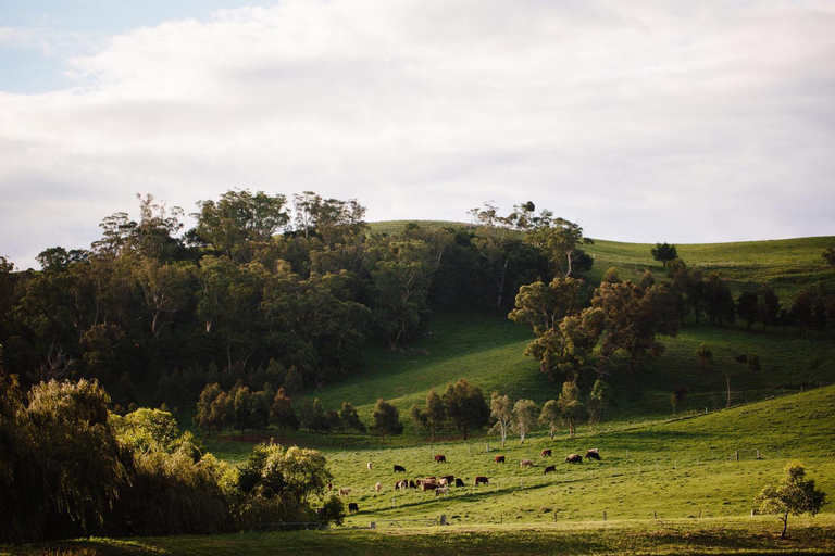 Others 3, Bendooley Estate, Wingecarribee
