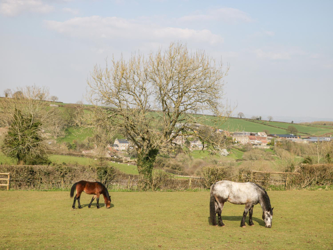 Others 5, Annex Chetnole, North Somerset