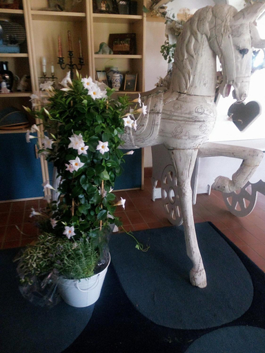 Others 4, Il Giardino di Mai Exclusive B&b, Asti