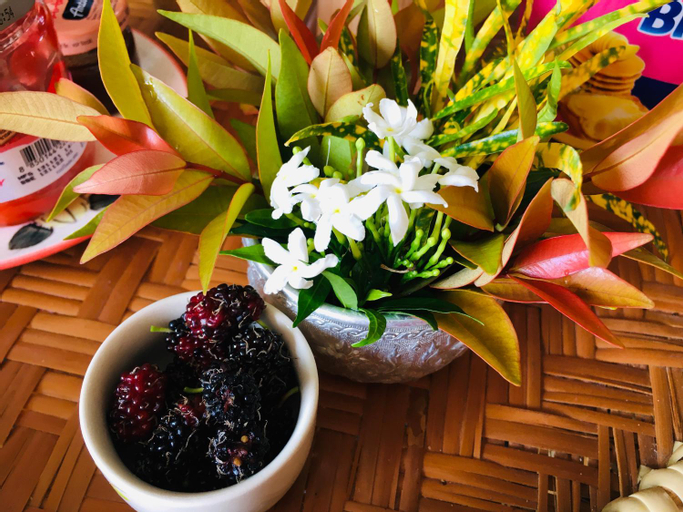 Food & Drinks 4, Mae-Sa-Riang Home, Mae Sariang