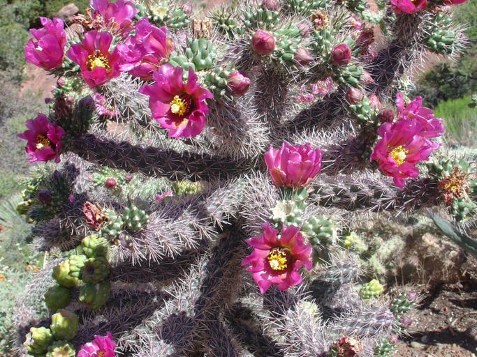 Others 2, Sedona Cathedral Hideaway LLC, Yavapai