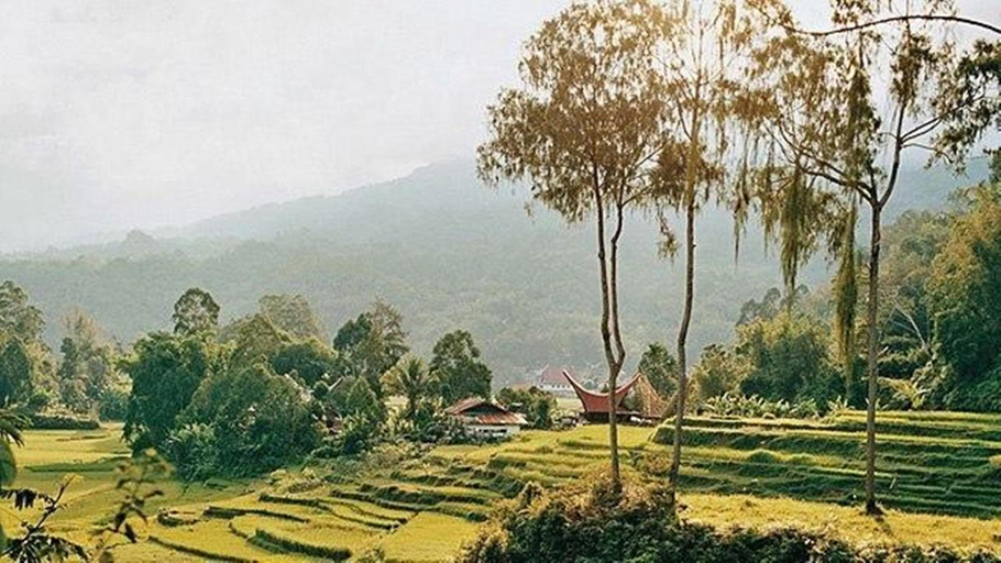 Others 5, Ruraraya Homestay, Tana Toraja