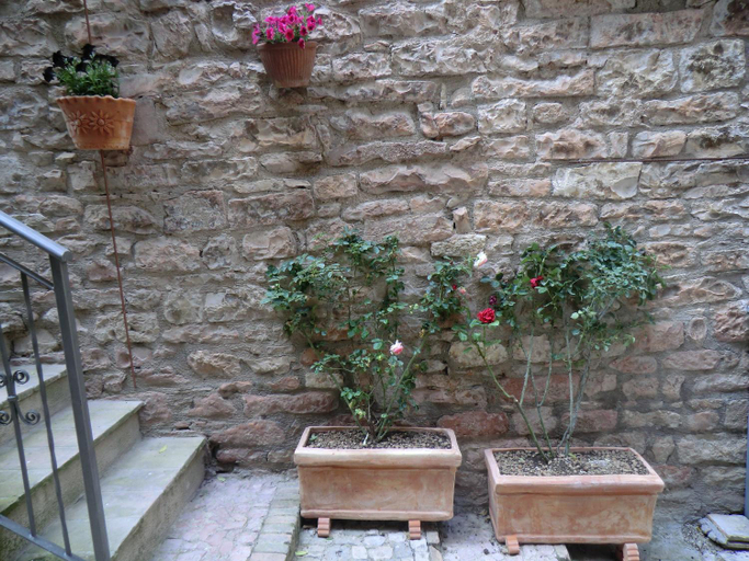 Others 3, la corta di spello camere, Perugia