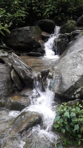 Others 5, Vamoose Rajalim Homestay, Darjiling
