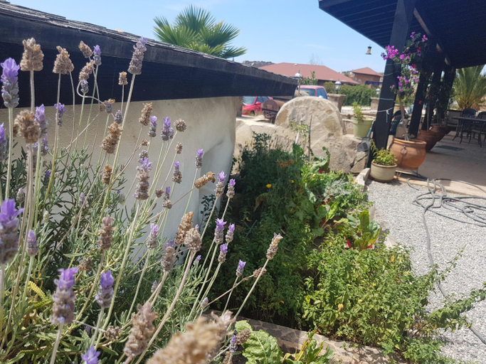 Others 4, Hacienda Eco-Domes, Ensenada