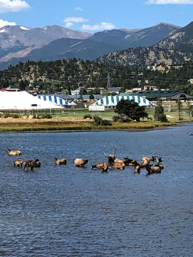 Others 4, Estes Lake Lodge, Larimer