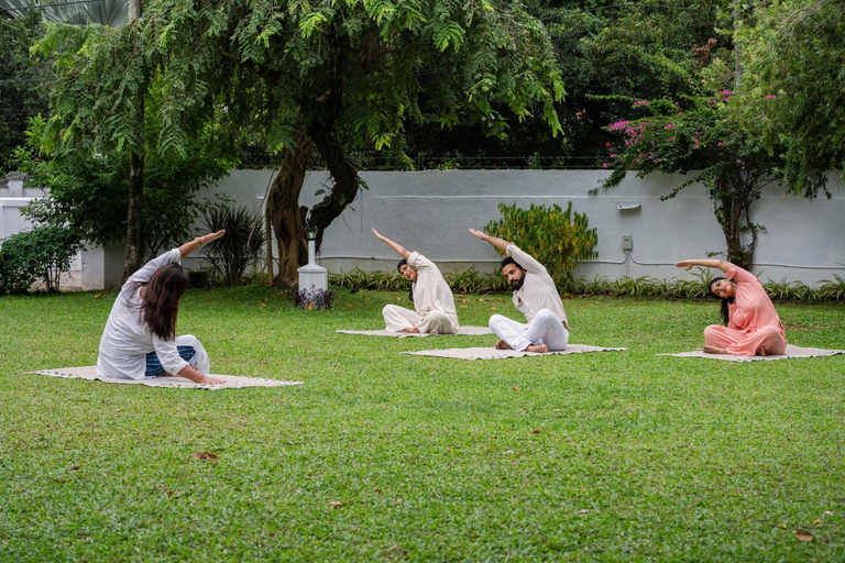 Others 5, The Sacred Lotus Ayurveda Wellness Retreat, Ernakulam