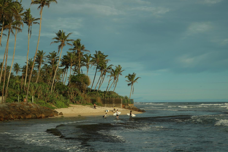 Others 3, The Drop In Surfhouse Madiha, Matara Four Gravets