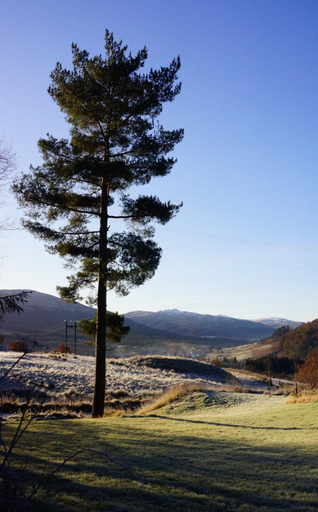 Others 3, Woodland Gean Lodge, Stirling