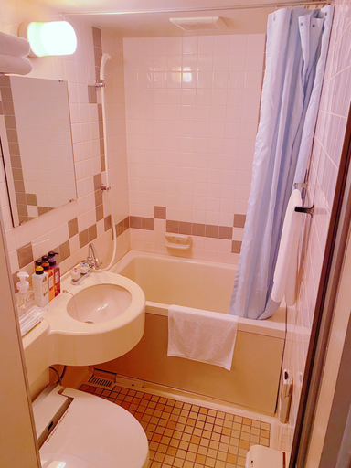 Bathroom 3, Inuyama City Hotel, Inuyama