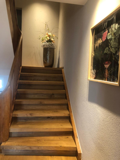 Others 3, BARONE HOTEL RISTORANTE, Frauenfeld