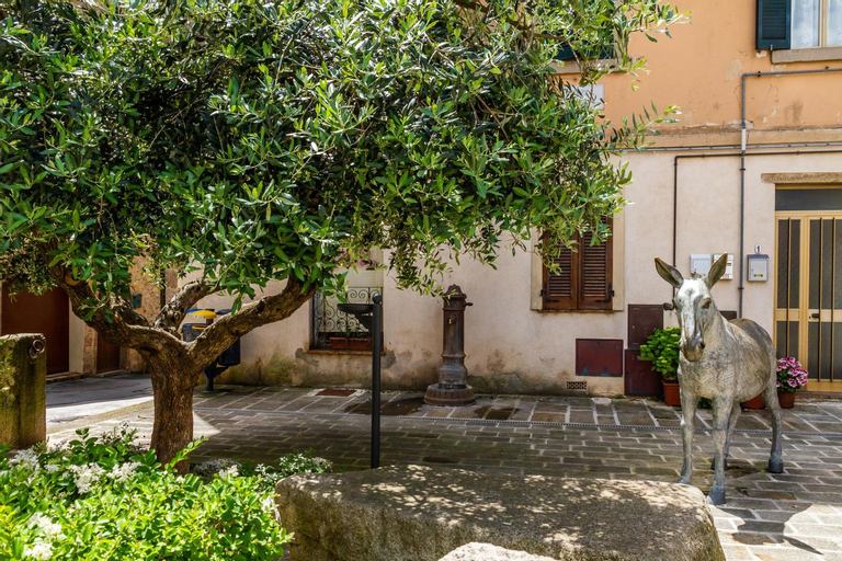 Mansarda Roccatederighi, Grosseto