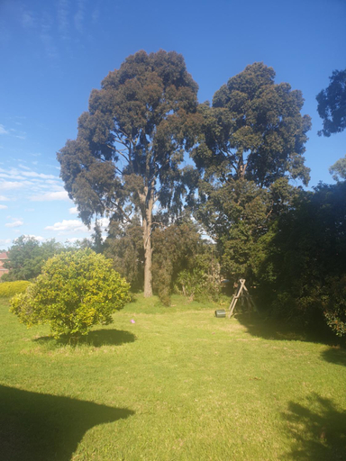 Others 3, Country breeze, Knox - South