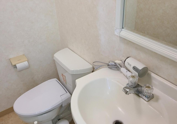 Bathroom 4, Bluebird Hotel, Fujikawaguchiko