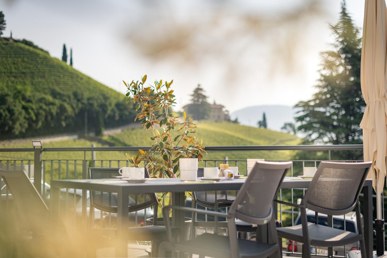 Food & Drinks 5, Vineus Tramin, Bolzano