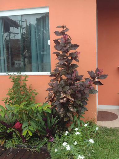Others 5, Guest House Flor de Laranjeira, São Pedro da Aldeia